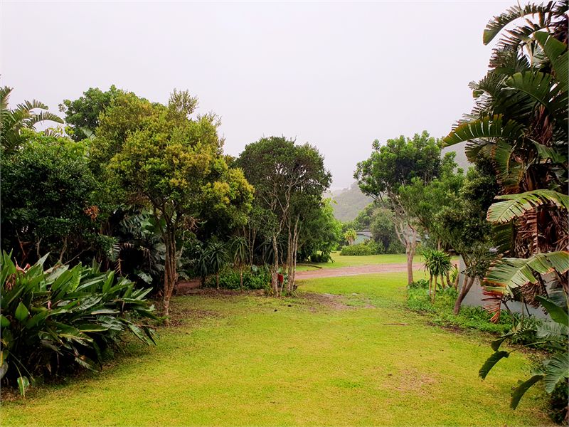 Fairway and trees at Olivewood golf course near Chintsa