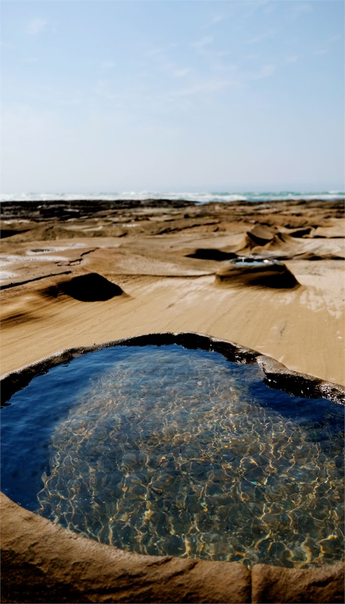 Children exploring rock pools at low tide