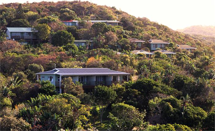 Buccaneers cottages set among indigenous coastal forest above the bay at golden hour